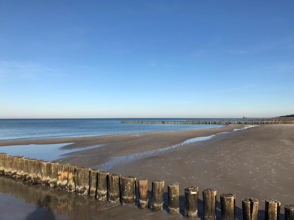 Traumhaus Unter Reet Zingst Exterior foto