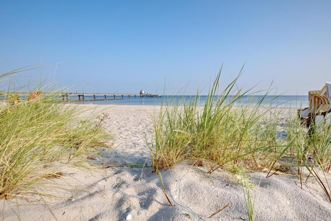 Traumhaus Unter Reet Zingst Exterior foto
